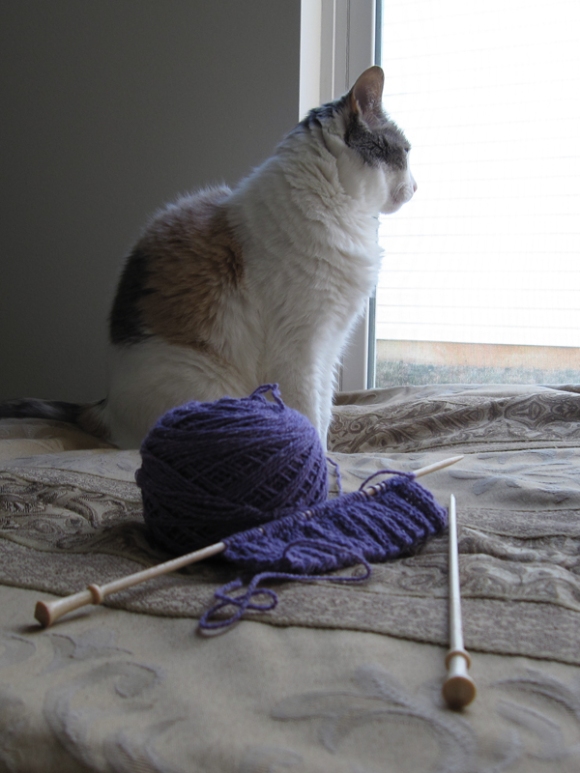 A piece of knitting (in progress) made from a wool, silk, and nylon blend sits on a bed. A cat sits nearby.